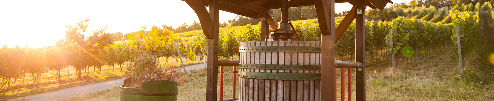 Alte Weinpresse - Weingut Schmid